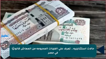 حالات استثنائية.. تعرف على الفئات المحرومة من المعاش قانونيًا في مصر